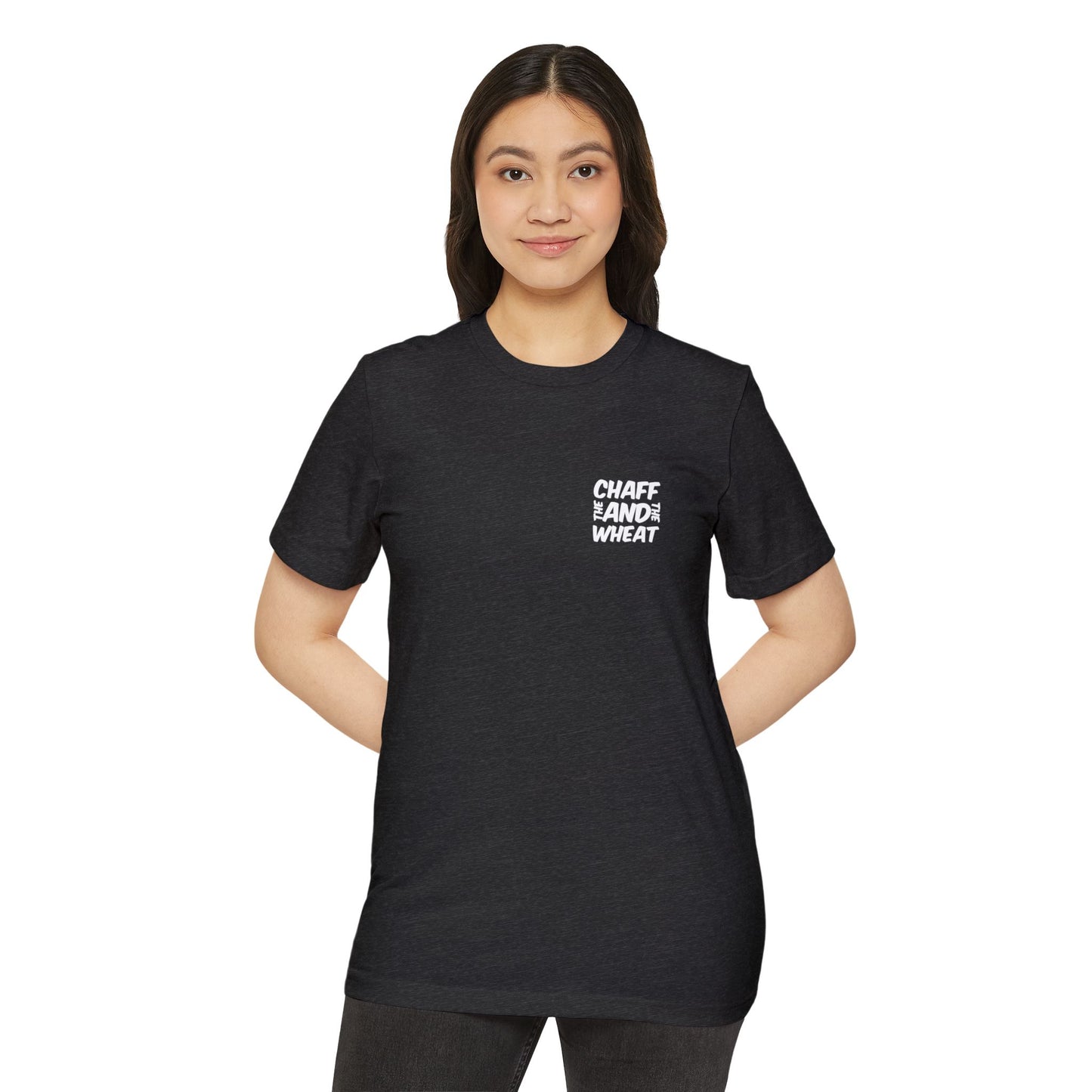'I declare to you the gospel' - Back Text, Light-Lettered Edition - (5 Color Options) - Adult Unisex Recycled Organic T-Shirt