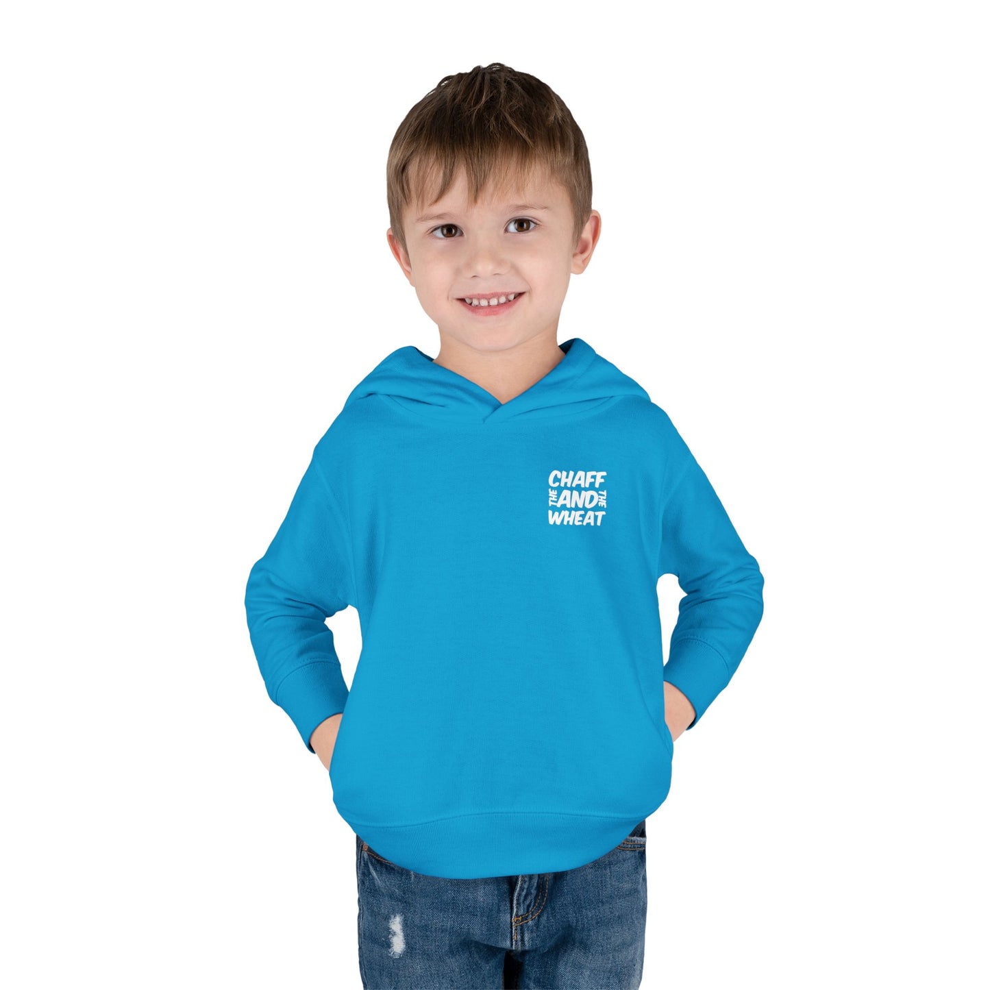 'I declare to you the gospel' - Back Text, Light Lettered Edition - (15 Color Options) - Toddler Pullover Fleece Hoodie
