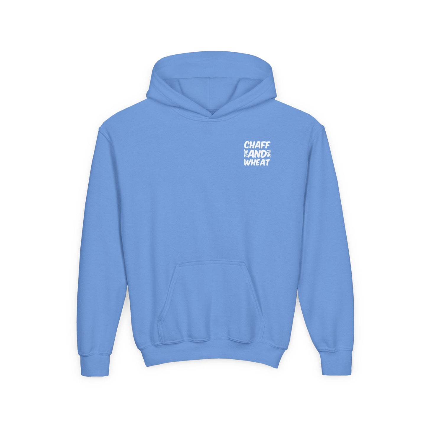 'I declare to you the gospel' - Light Lettered Edition - (14 Color Options) - Youth Heavy Blend Hoodie