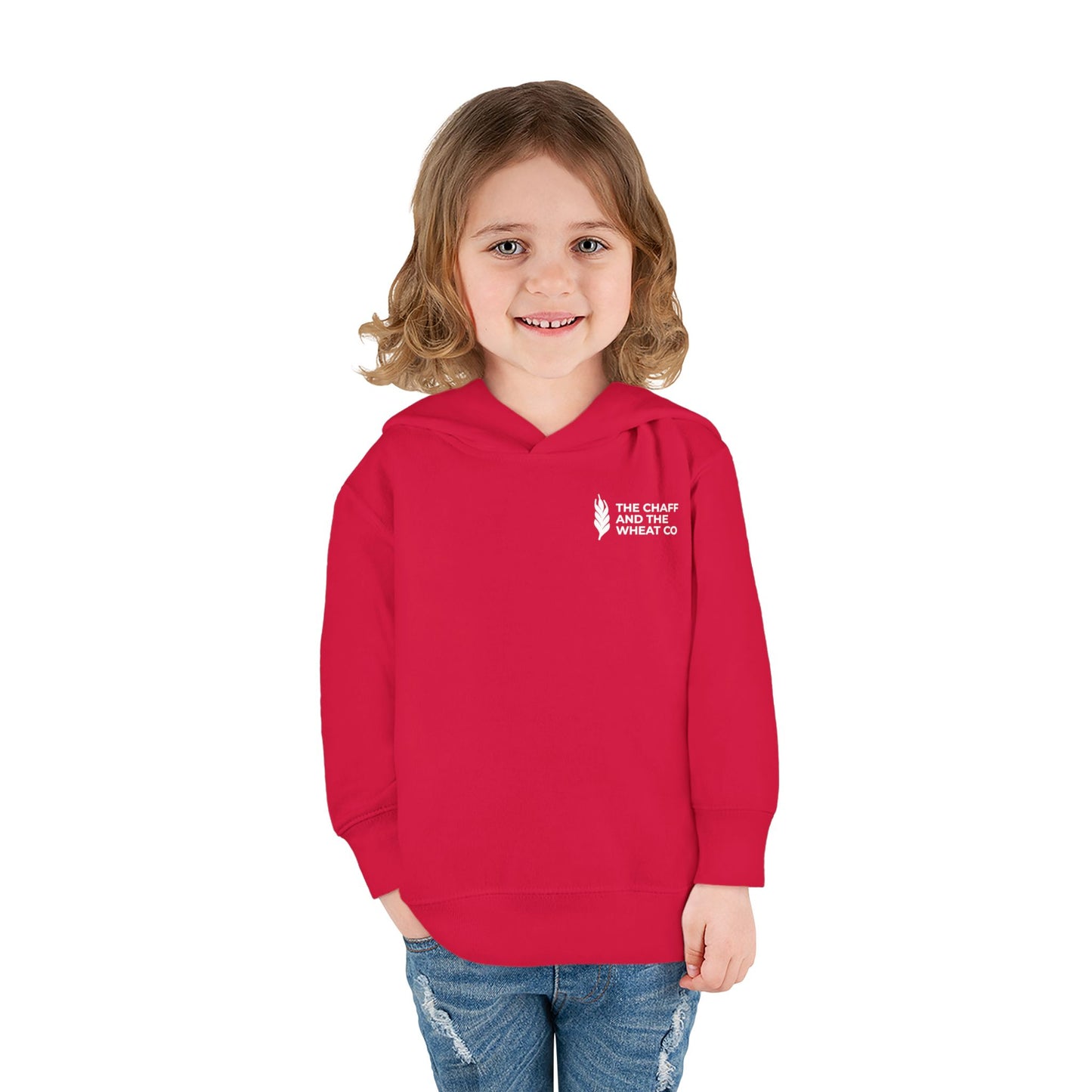 The Gospel - Toddler Pullover Hoodie - Back Text, Light Lettered Edition - (15 Colors)