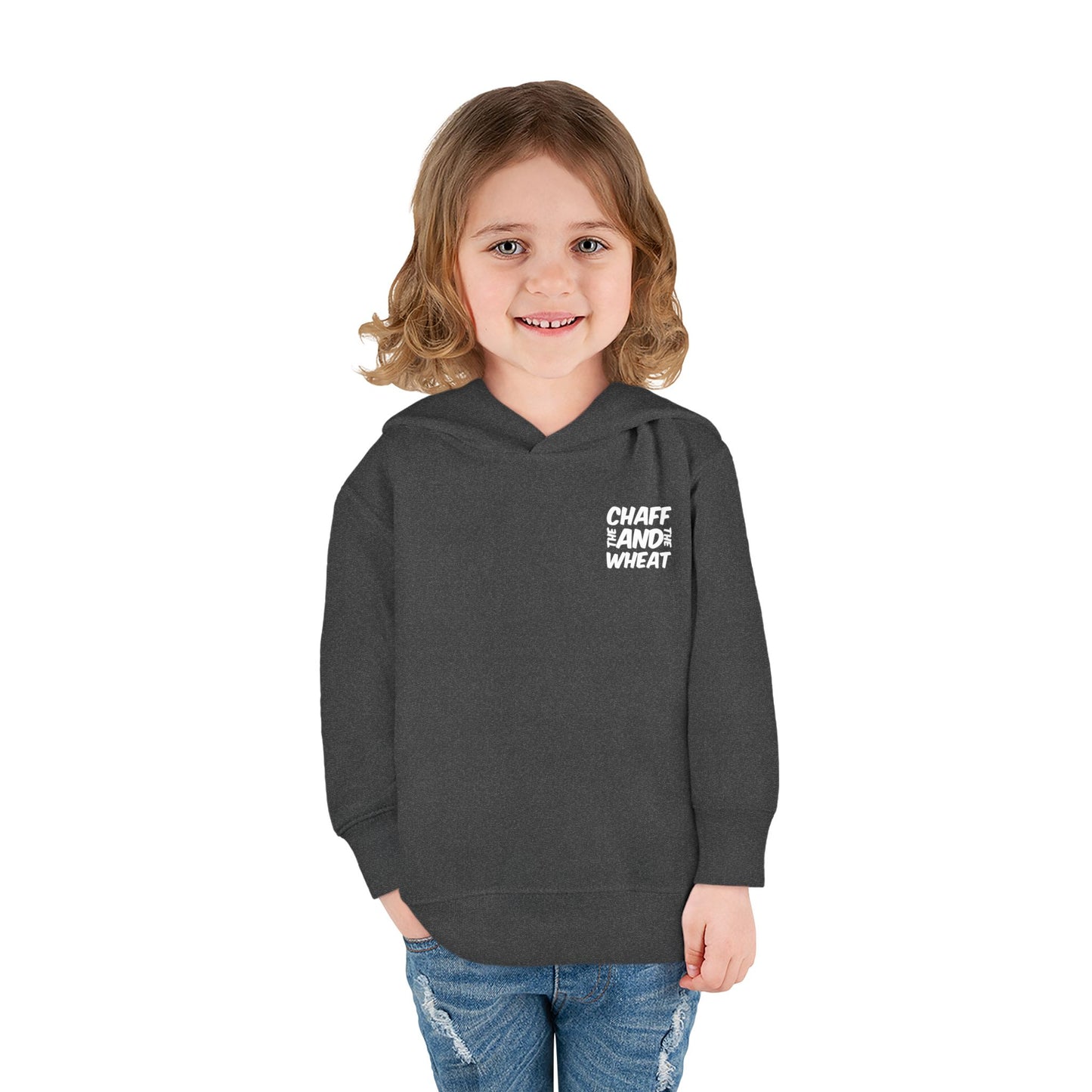 'I declare to you the gospel' - Back Text, Light Lettered Edition - (15 Color Options) - Toddler Pullover Fleece Hoodie