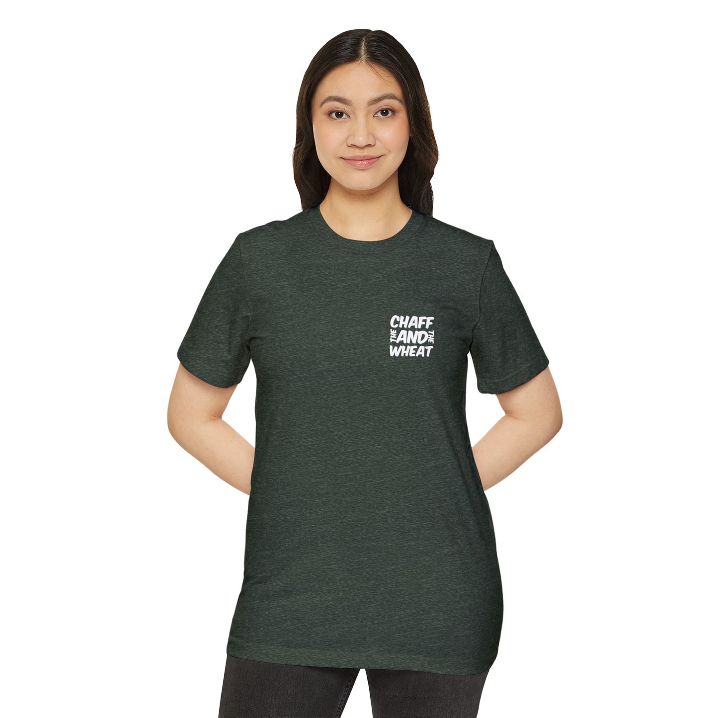 'I declare to you the gospel' - Back Text, Light-Lettered Edition - (5 Color Options) - Adult Unisex Recycled Organic T-Shirt