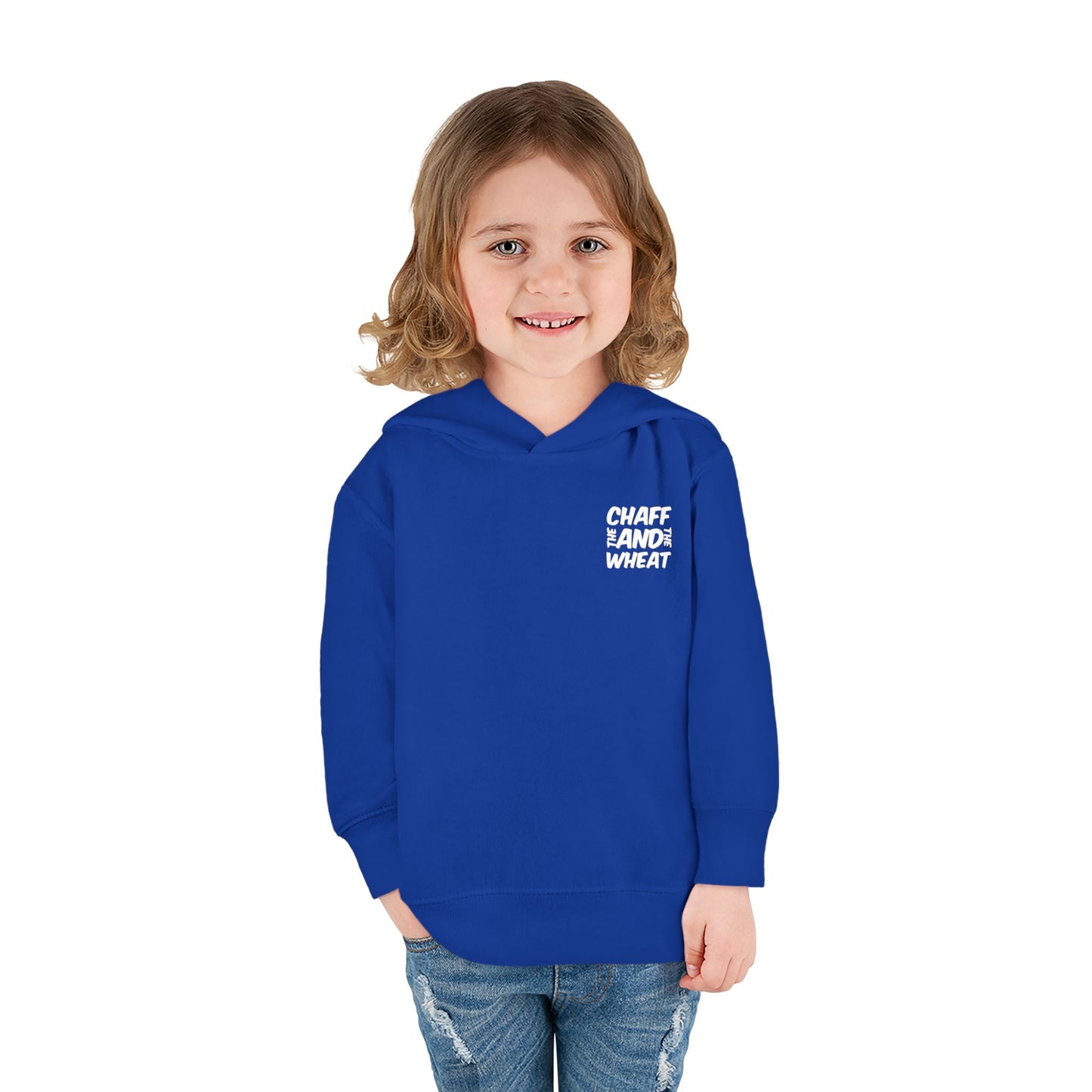 'I declare to you the gospel' - Back Text, Light Lettered Edition - (15 Color Options) - Toddler Pullover Fleece Hoodie