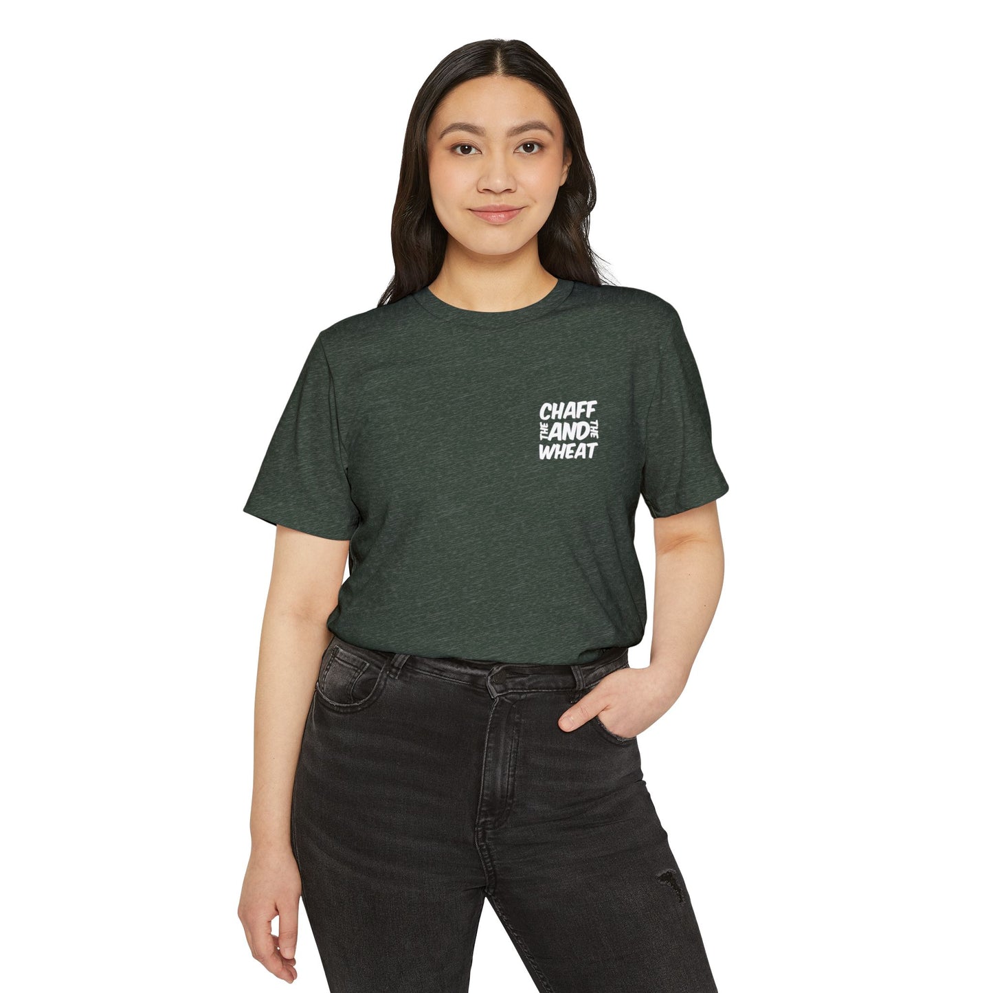 'I declare to you the gospel' - Back Text, Light-Lettered Edition - (5 Color Options) - Adult Unisex Recycled Organic T-Shirt