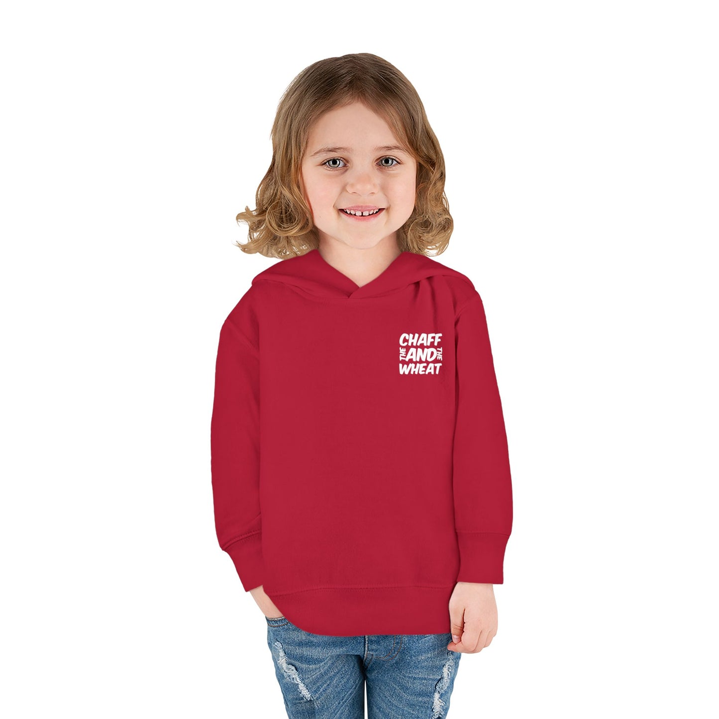 'I declare to you the gospel' - Back Text, Light Lettered Edition - (15 Color Options) - Toddler Pullover Fleece Hoodie