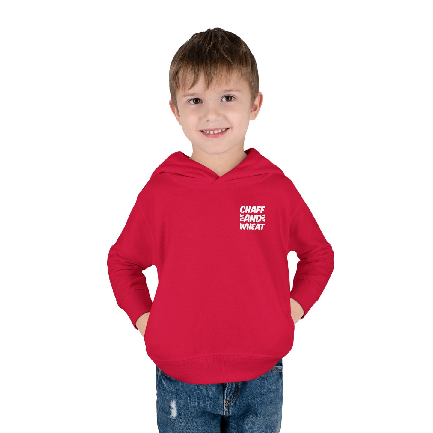 'I declare to you the gospel' - Back Text, Light Lettered Edition - (15 Color Options) - Toddler Pullover Fleece Hoodie
