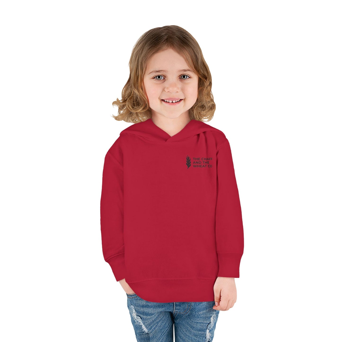 The Gospel - Toddler Pullover Hoodie - Back Text, Dark Lettered Edition - (13 Colors)
