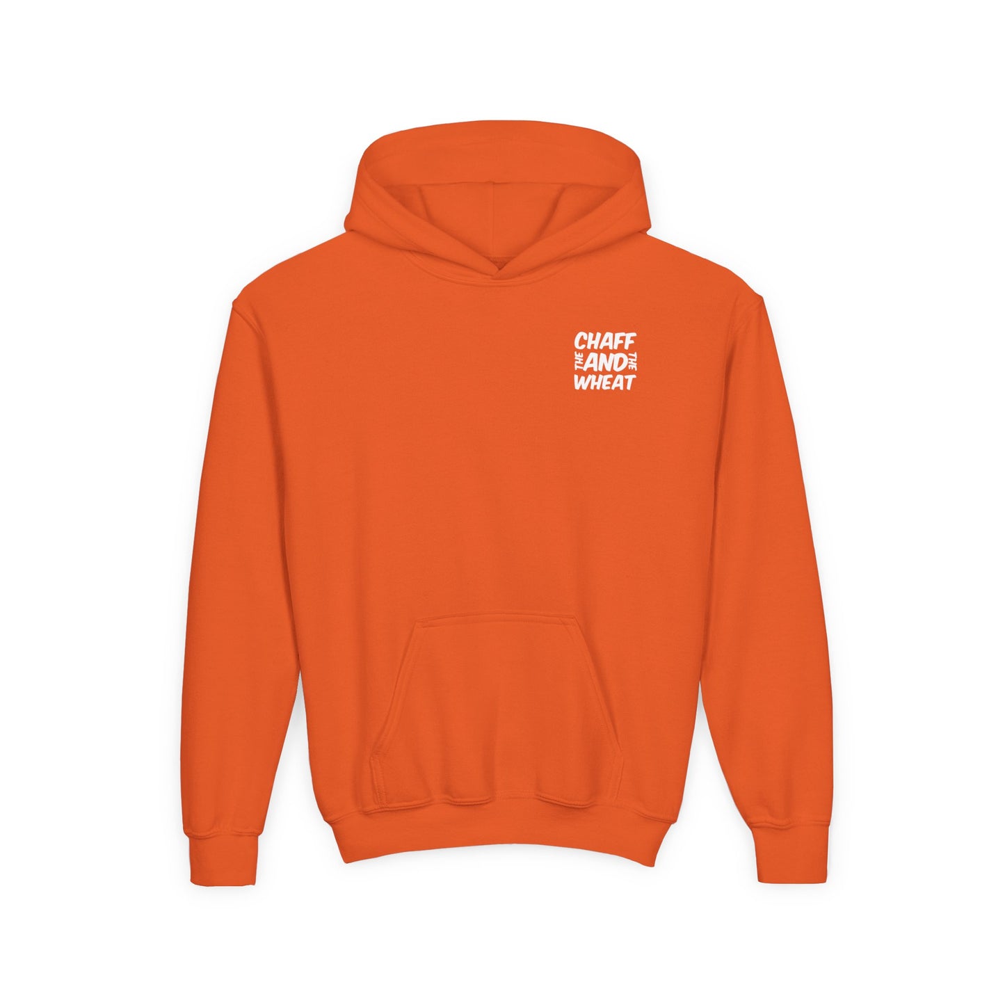 'I declare to you the gospel' - Light Lettered Edition - (14 Color Options) - Youth Heavy Blend Hoodie