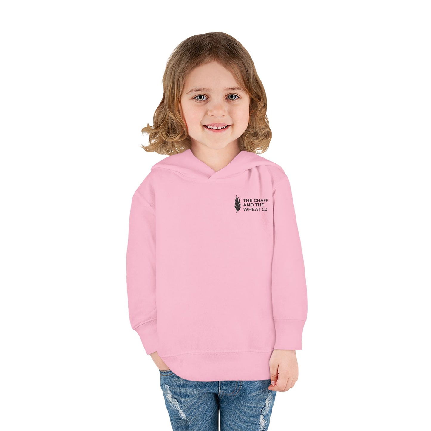 The Gospel - Toddler Pullover Hoodie - Back Text, Dark Lettered Edition - (13 Colors)
