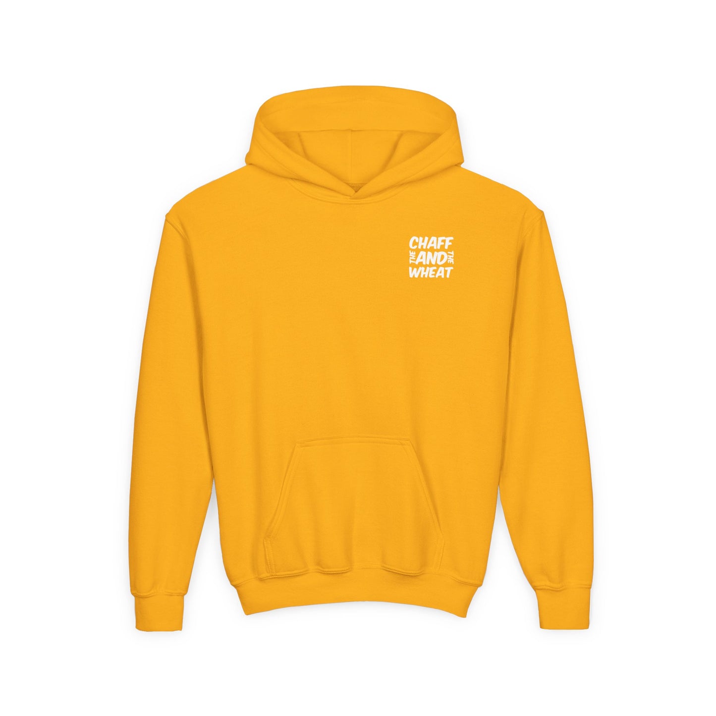 'I declare to you the gospel' - Light Lettered Edition - (14 Color Options) - Youth Heavy Blend Hoodie