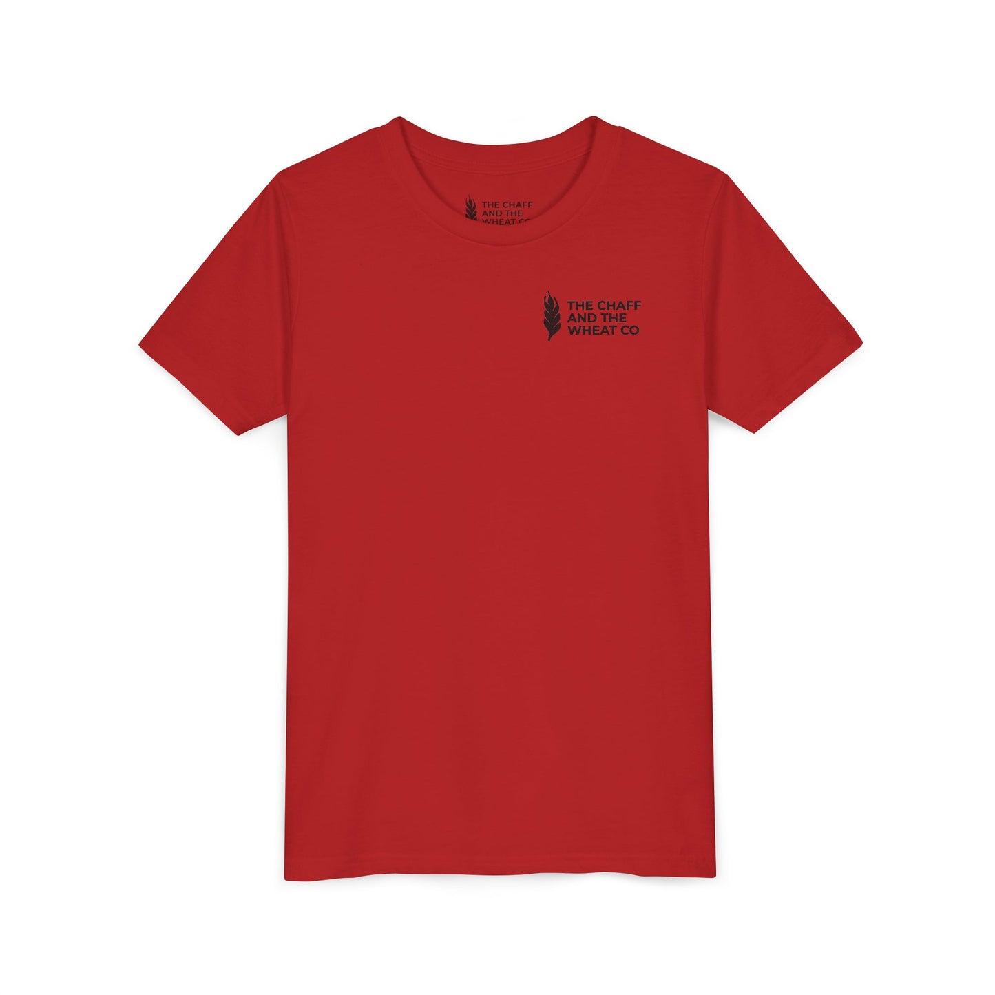 The Gospel - Youth Short Sleeve Tee - Back Text, Dark-Lettered Edition - (17 Colors)