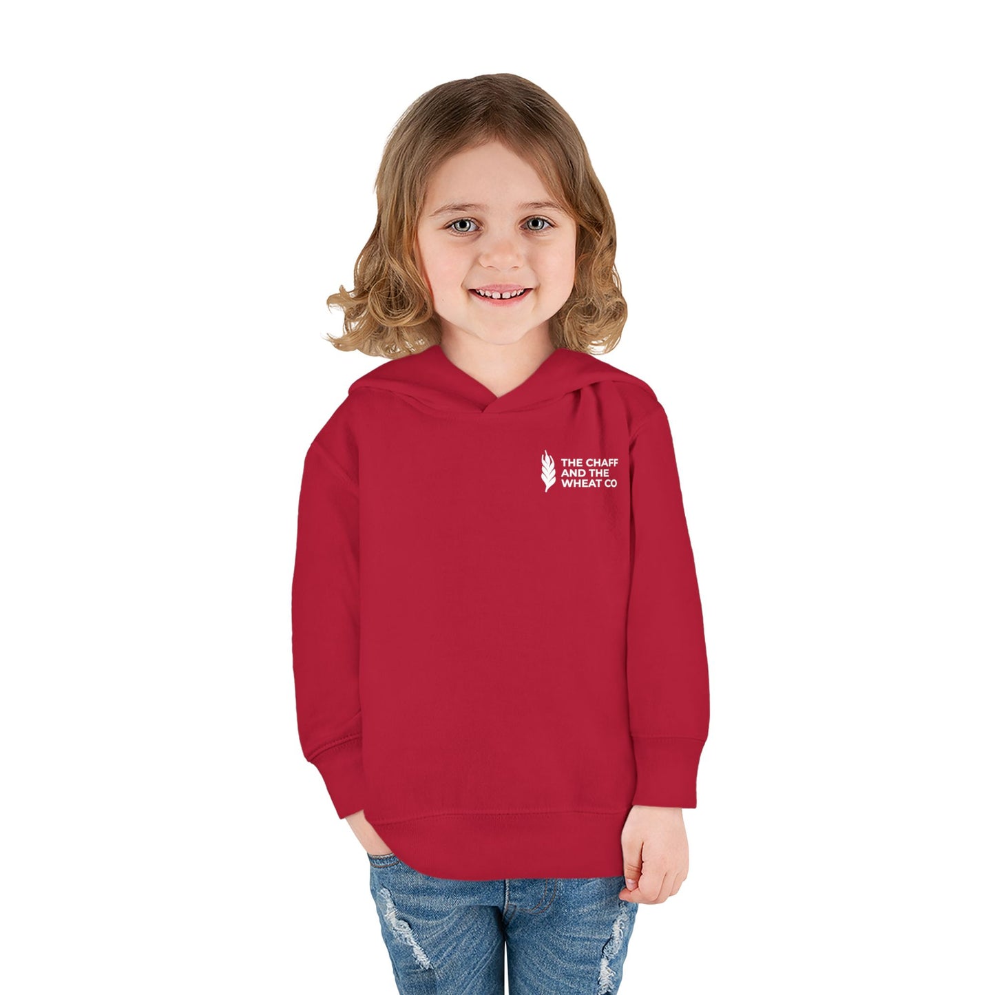 The Gospel - Toddler Pullover Hoodie - Back Text, Light Lettered Edition - (15 Colors)