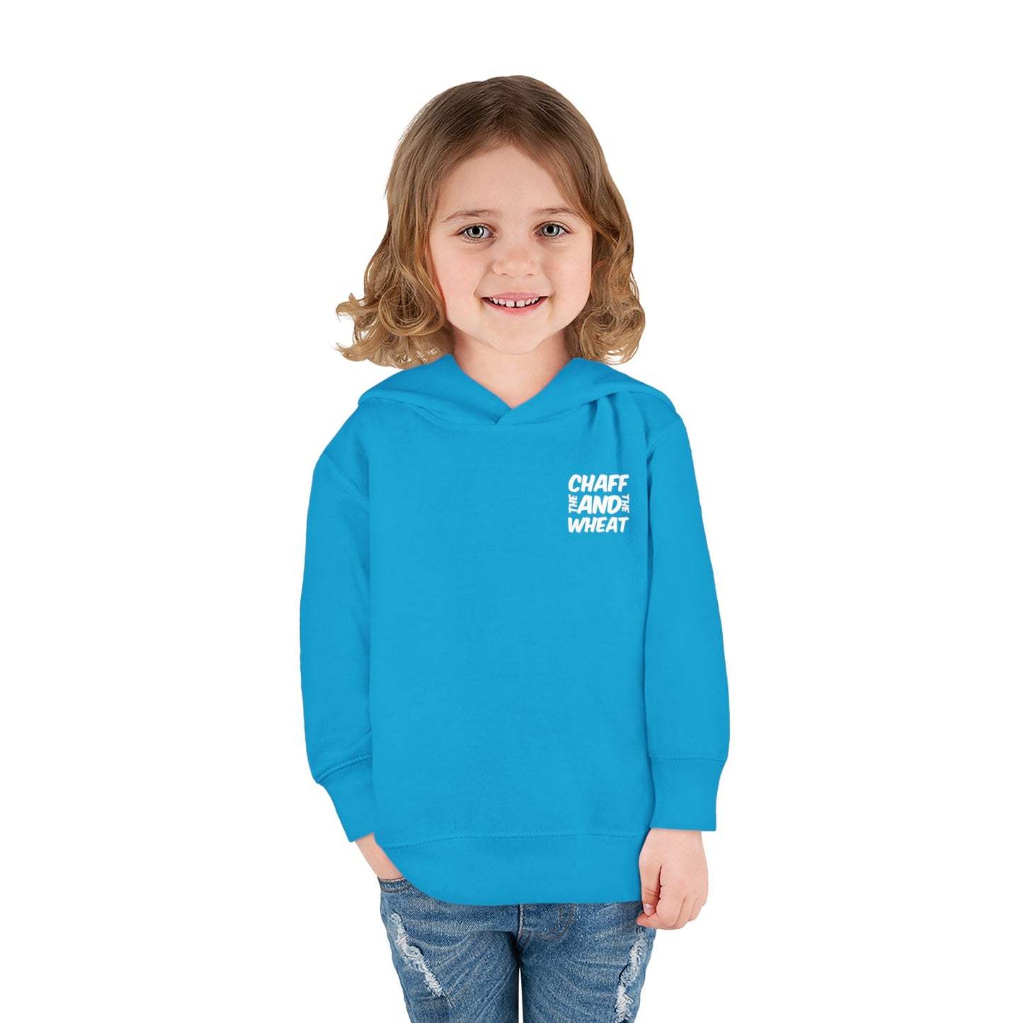 'I declare to you the gospel' - Back Text, Light Lettered Edition - (15 Color Options) - Toddler Pullover Fleece Hoodie