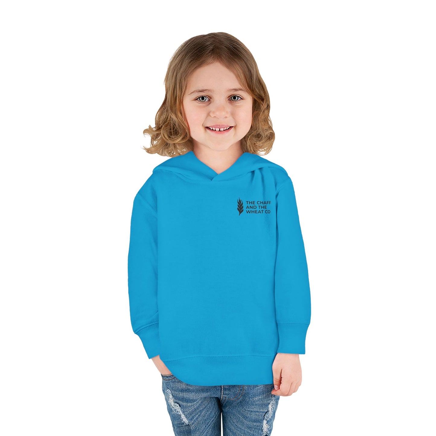 The Gospel - Toddler Pullover Hoodie - Back Text, Dark Lettered Edition - (13 Colors)