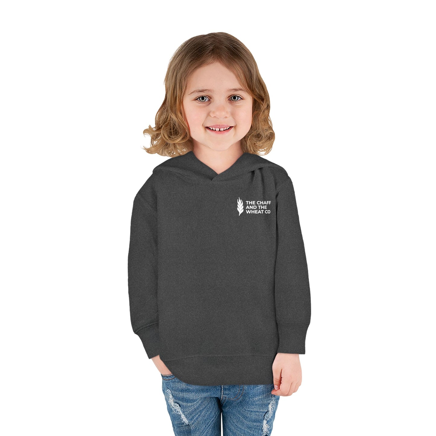 The Gospel - Toddler Pullover Hoodie - Back Text, Light Lettered Edition - (15 Colors)