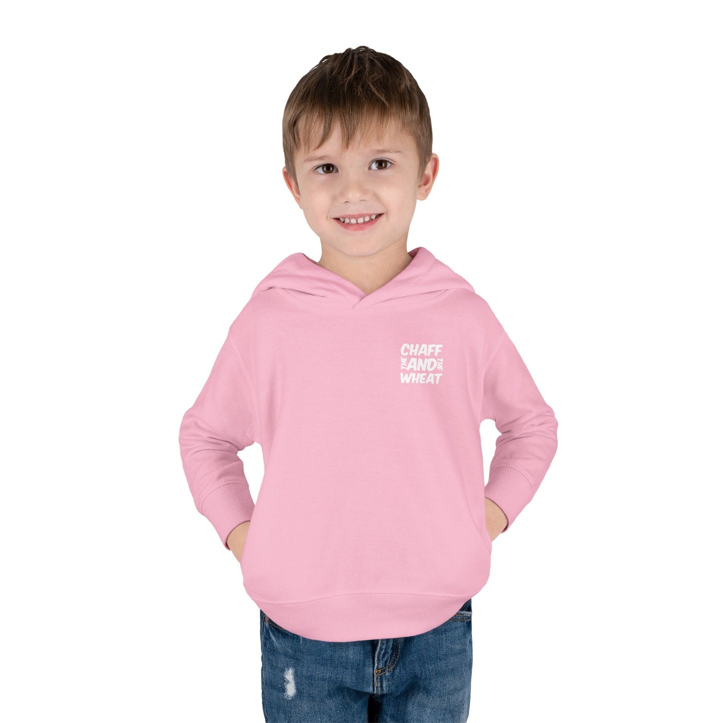 'I declare to you the gospel' - Back Text, Light Lettered Edition - (15 Color Options) - Toddler Pullover Fleece Hoodie