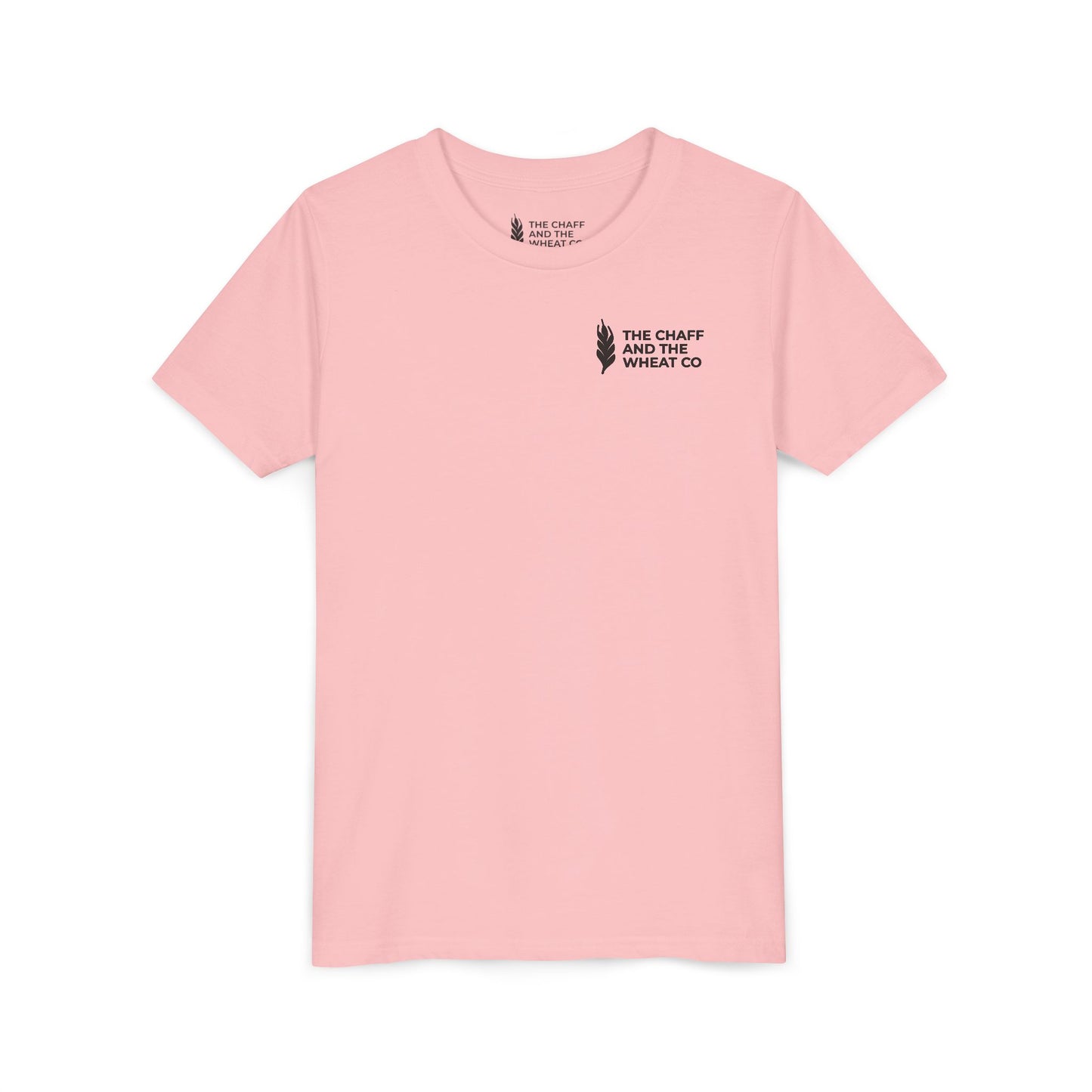 The Gospel - Youth Short Sleeve Tee - Back Text, Dark-Lettered Edition - (17 Colors)