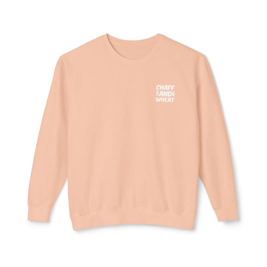 'I declare to you the gospel' - Back Text, Light Lettered Edition - (10 Color Options) - Adult Unisex Lightweight Crewneck Sweatshirt