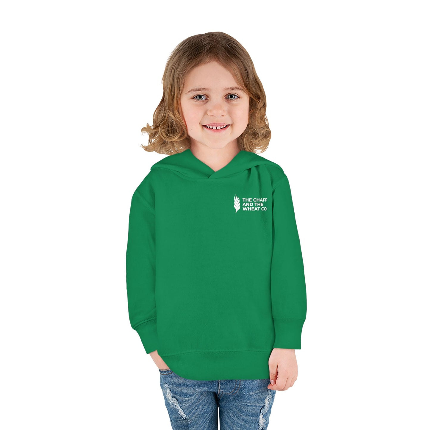 The Gospel - Toddler Pullover Hoodie - Back Text, Light Lettered Edition - (15 Colors)