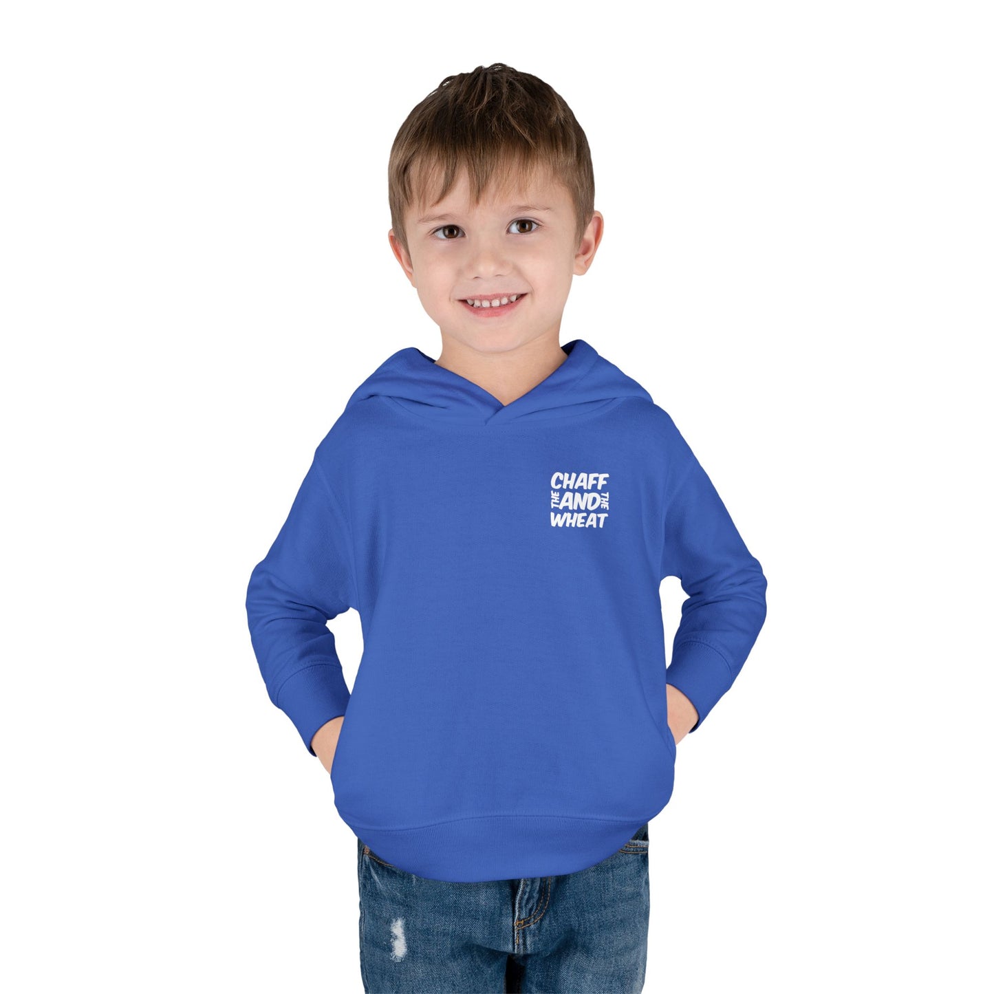 'I declare to you the gospel' - Back Text, Light Lettered Edition - (15 Color Options) - Toddler Pullover Fleece Hoodie