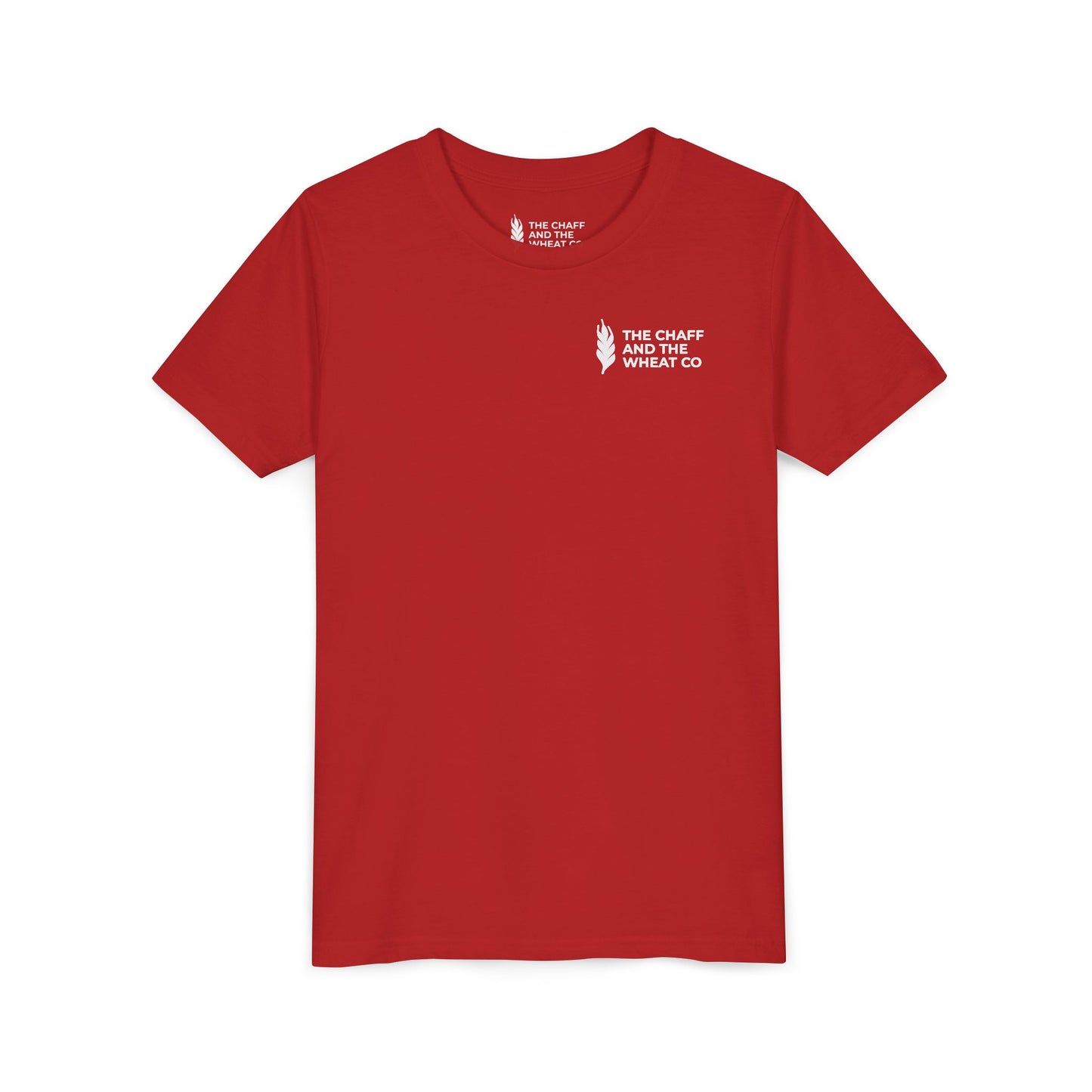 The Gospel - Youth Short Sleeve Tee - Back Text, Light-Lettered Edition - (22 Colors)