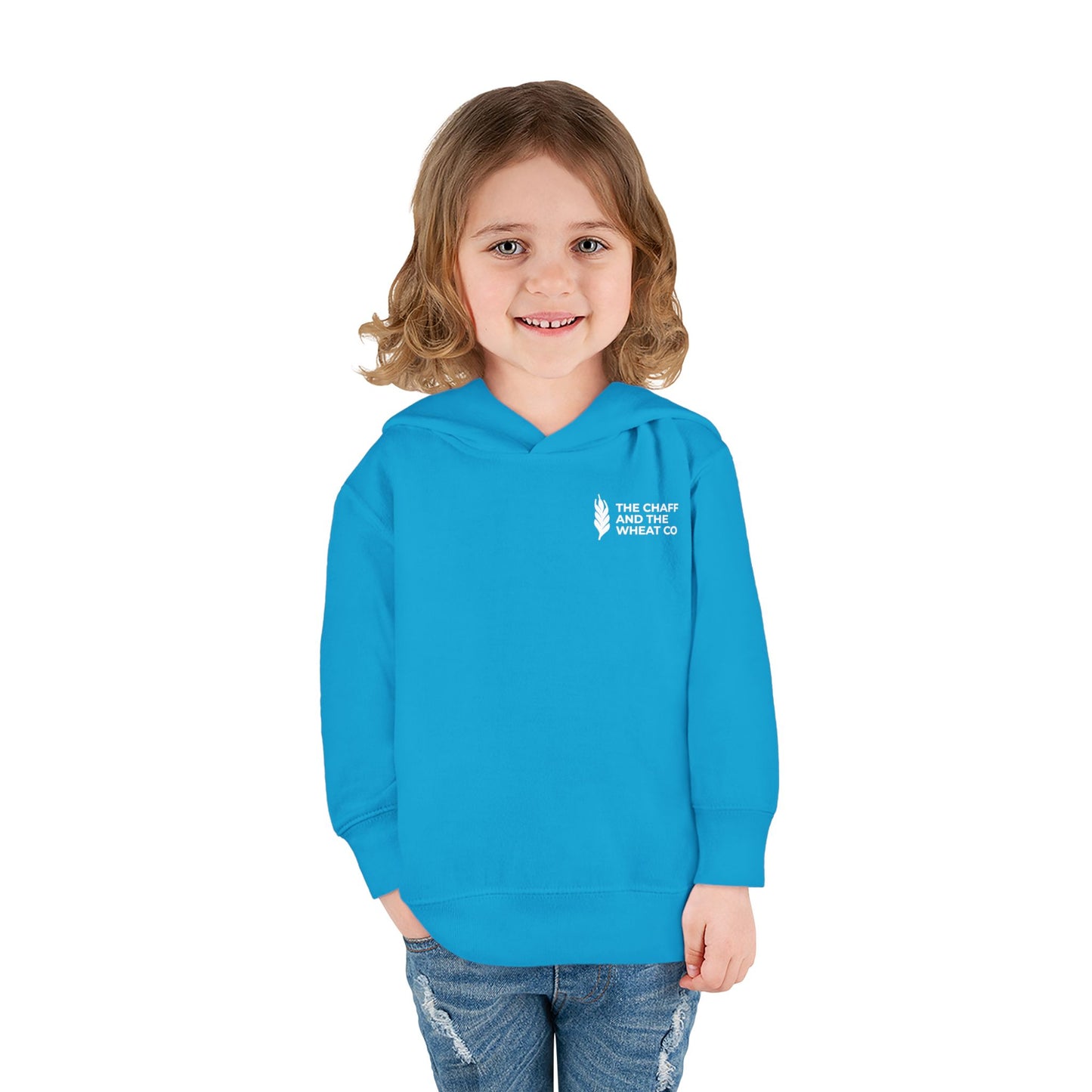 The Gospel - Toddler Pullover Hoodie - Back Text, Light Lettered Edition - (15 Colors)