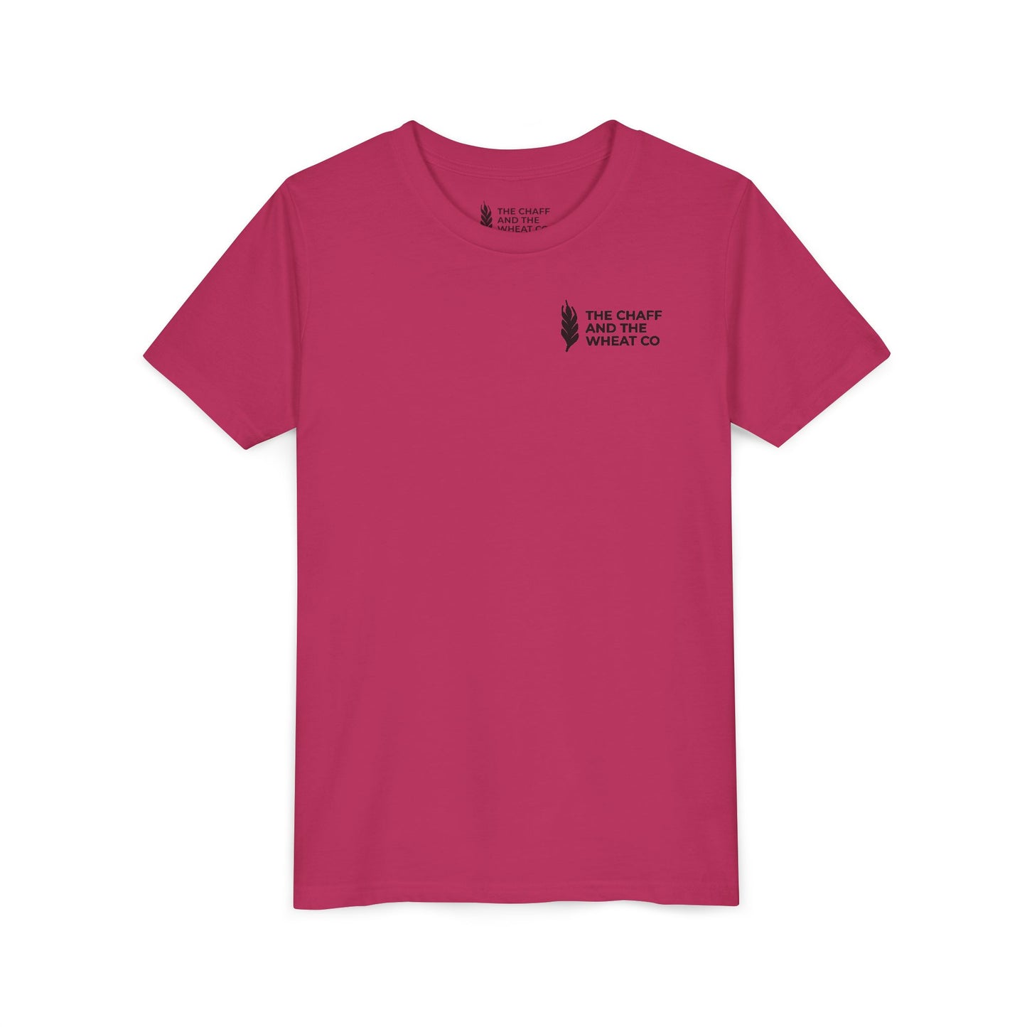 The Gospel - Youth Short Sleeve Tee - Back Text, Dark-Lettered Edition - (17 Colors)