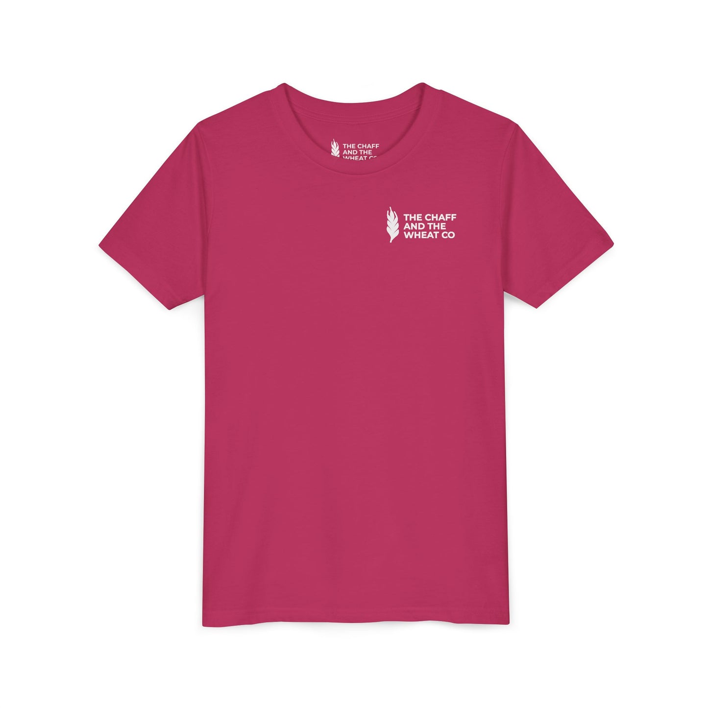 The Gospel - Youth Short Sleeve Tee - Back Text, Light-Lettered Edition - (22 Colors)