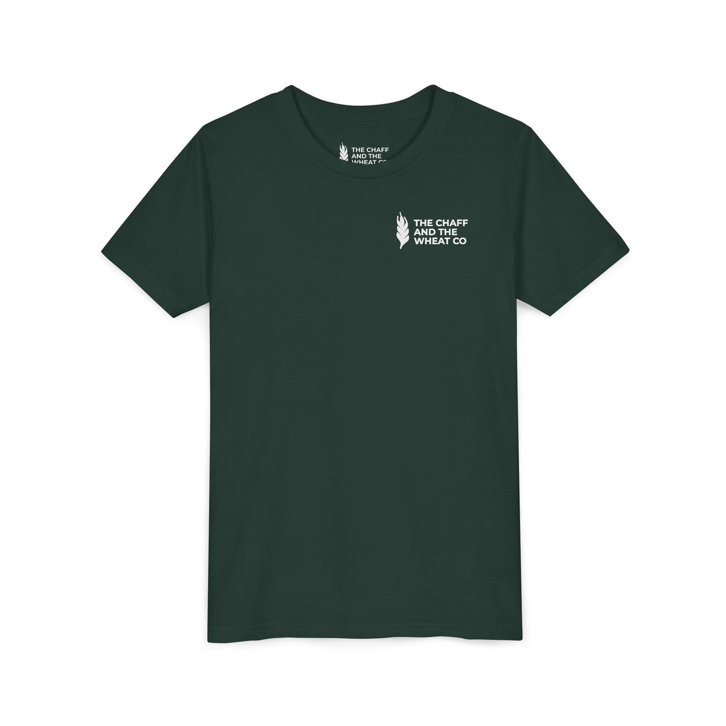 The Gospel - Youth Short Sleeve Tee - Back Text, Light-Lettered Edition - (22 Colors)