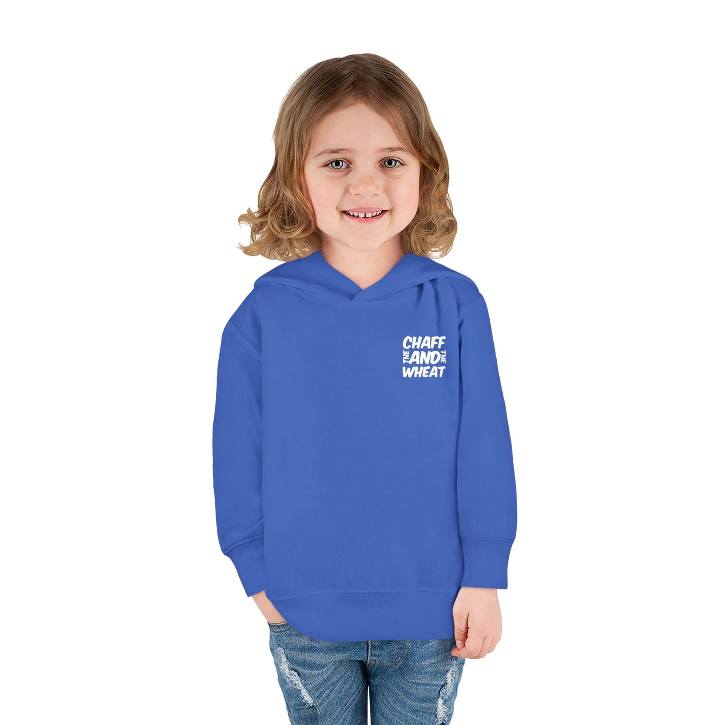'I declare to you the gospel' - Back Text, Light Lettered Edition - (15 Color Options) - Toddler Pullover Fleece Hoodie