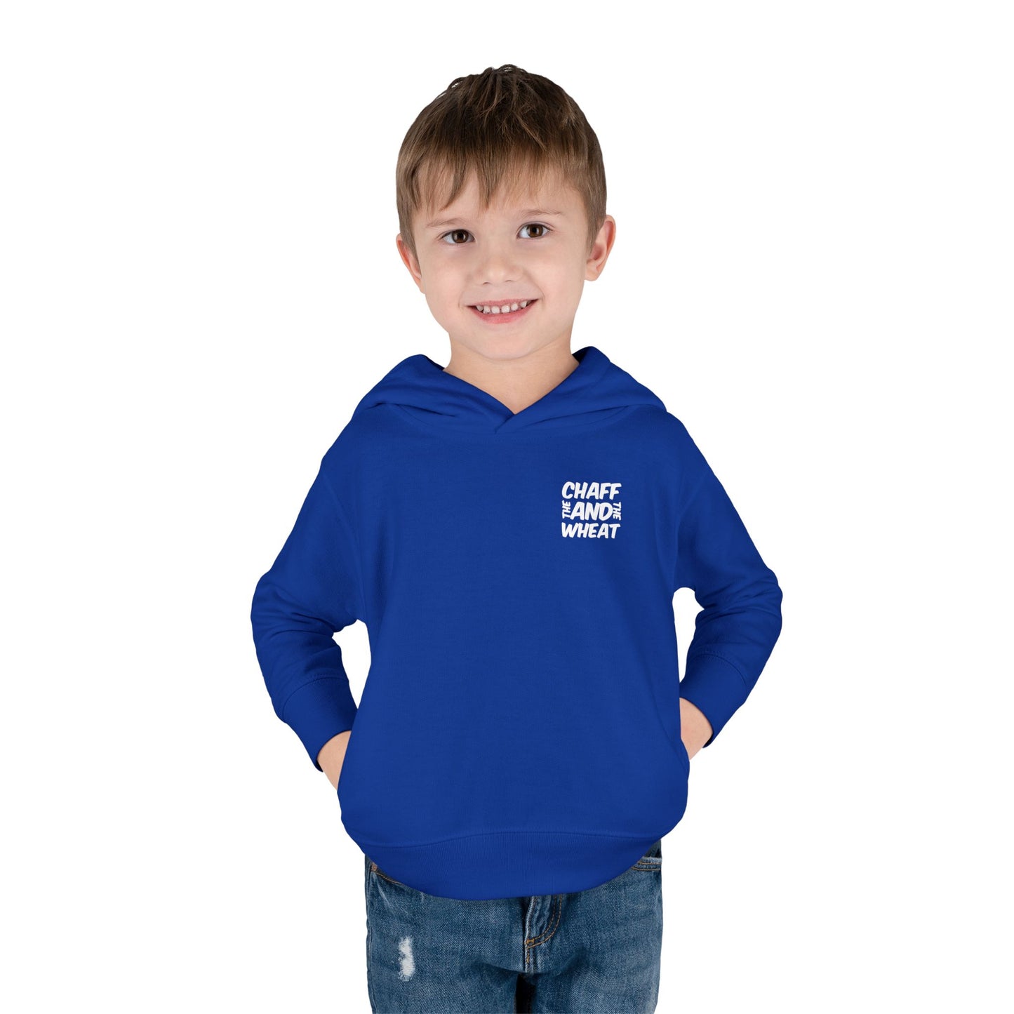 'I declare to you the gospel' - Back Text, Light Lettered Edition - (15 Color Options) - Toddler Pullover Fleece Hoodie